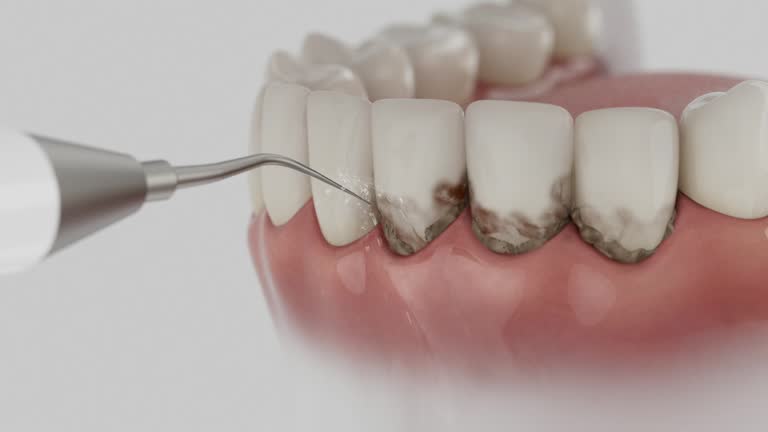 Reliable Dental contractor in Nashville, IL by Dentist Open Now